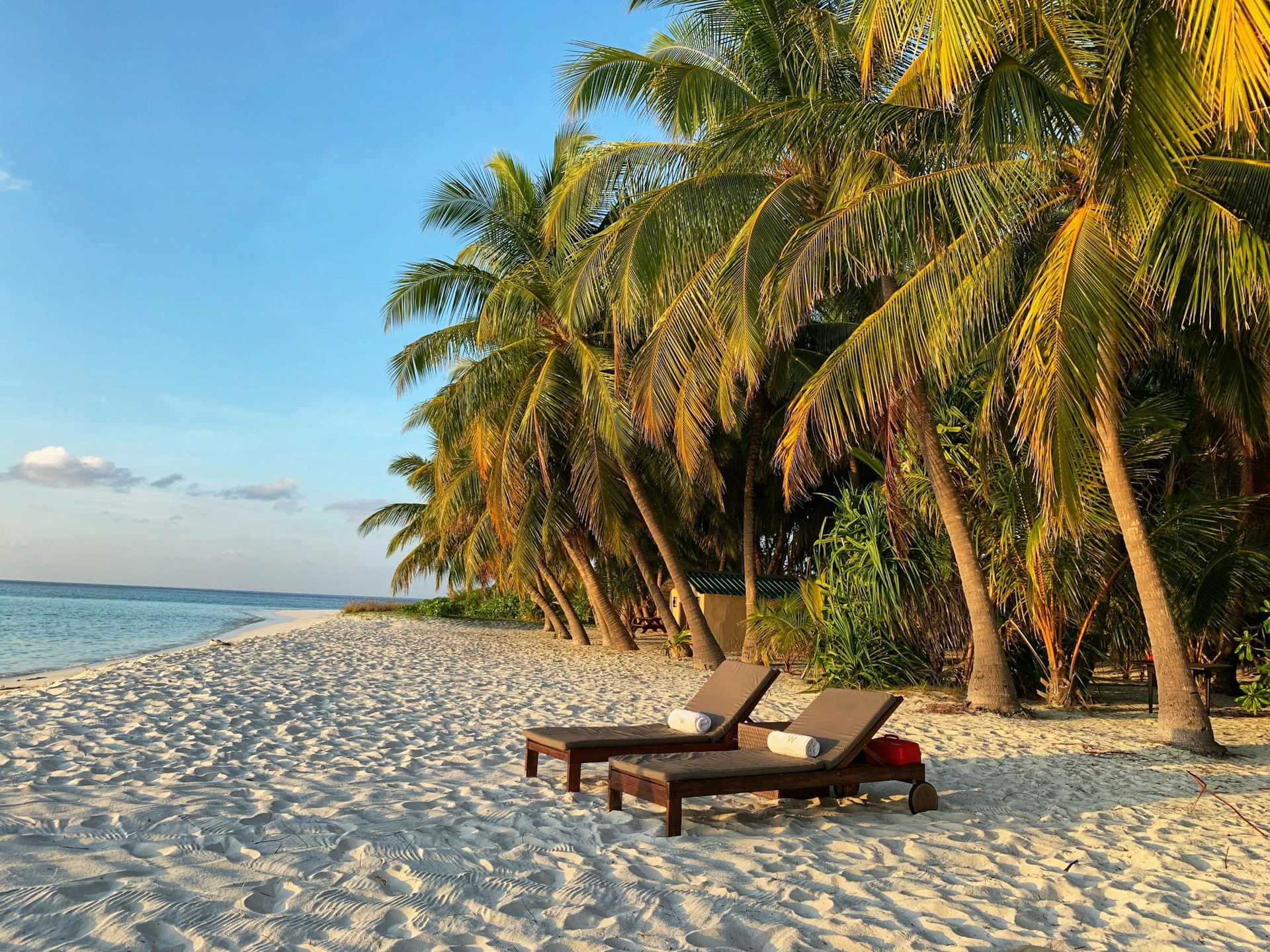 beach with white sand and palm trees in the background with two deck chairs